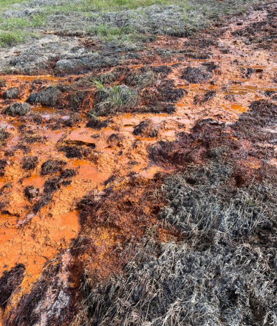 Arctic Rivers Are Bleeding Orange. Scientists Just Found the Toxic Origin