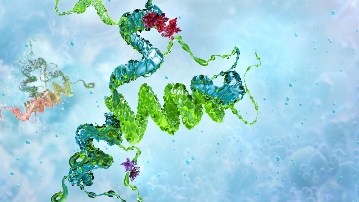 Deadly Proteins Behind Mad Cow Disease Might Help Us Fight Superbugs