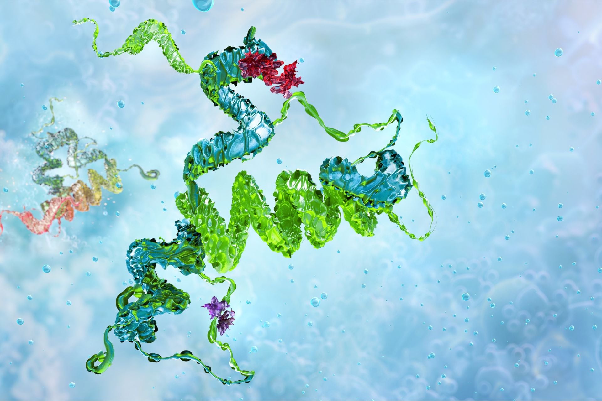 An illustration of the prion protein.