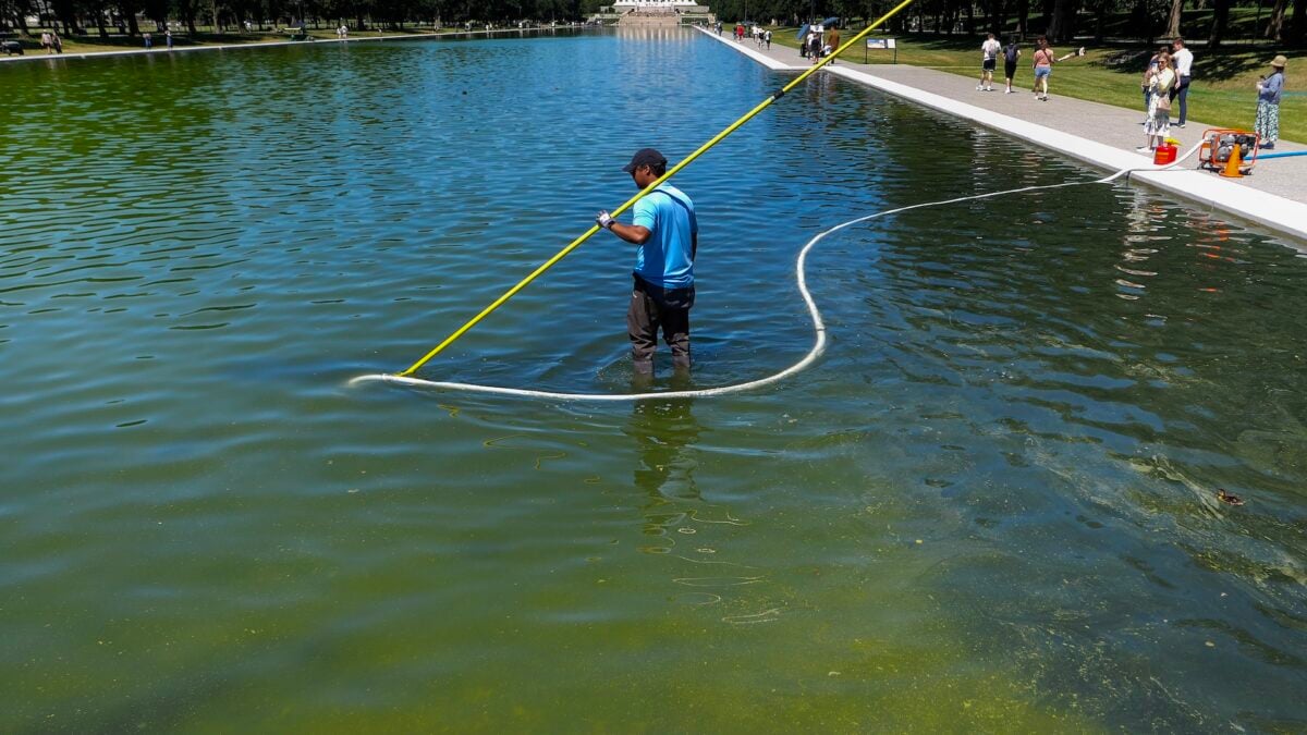 Trump Admin Declares Total Victory Over Algae Thanks to &lsquo;Advanced Nanobubbler Technology&rsquo;
