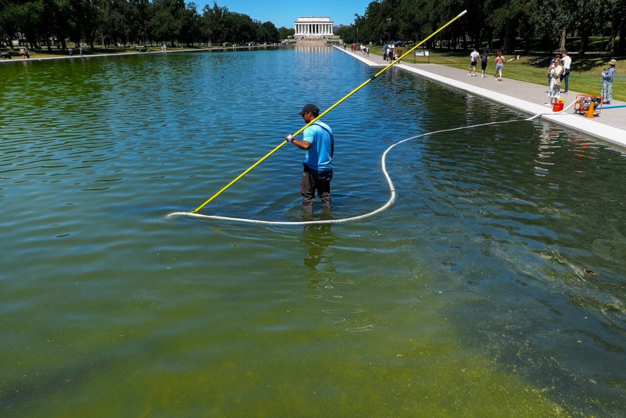 A U.S. National Park Service employee uses a vacuum pump to clean algae off the bottom of the newly repainted Lincoln Memorial Reflecting Pool on the National Mall on June 16, 2026 in Washington, DC.