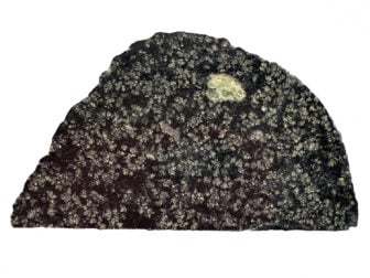 Slice Nwa 12774