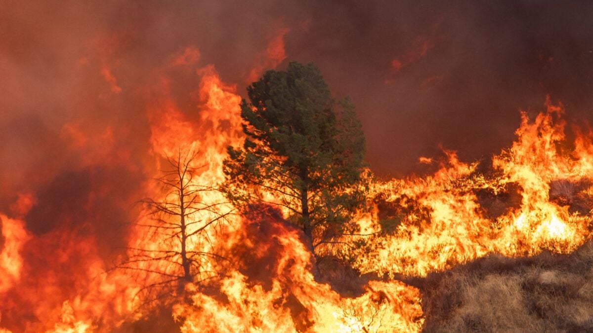 The Deadliest Kind of Wildfire Now Dominates California’s Forests The Deadliest Kind of Wildfire Now Dominates California’s Forests