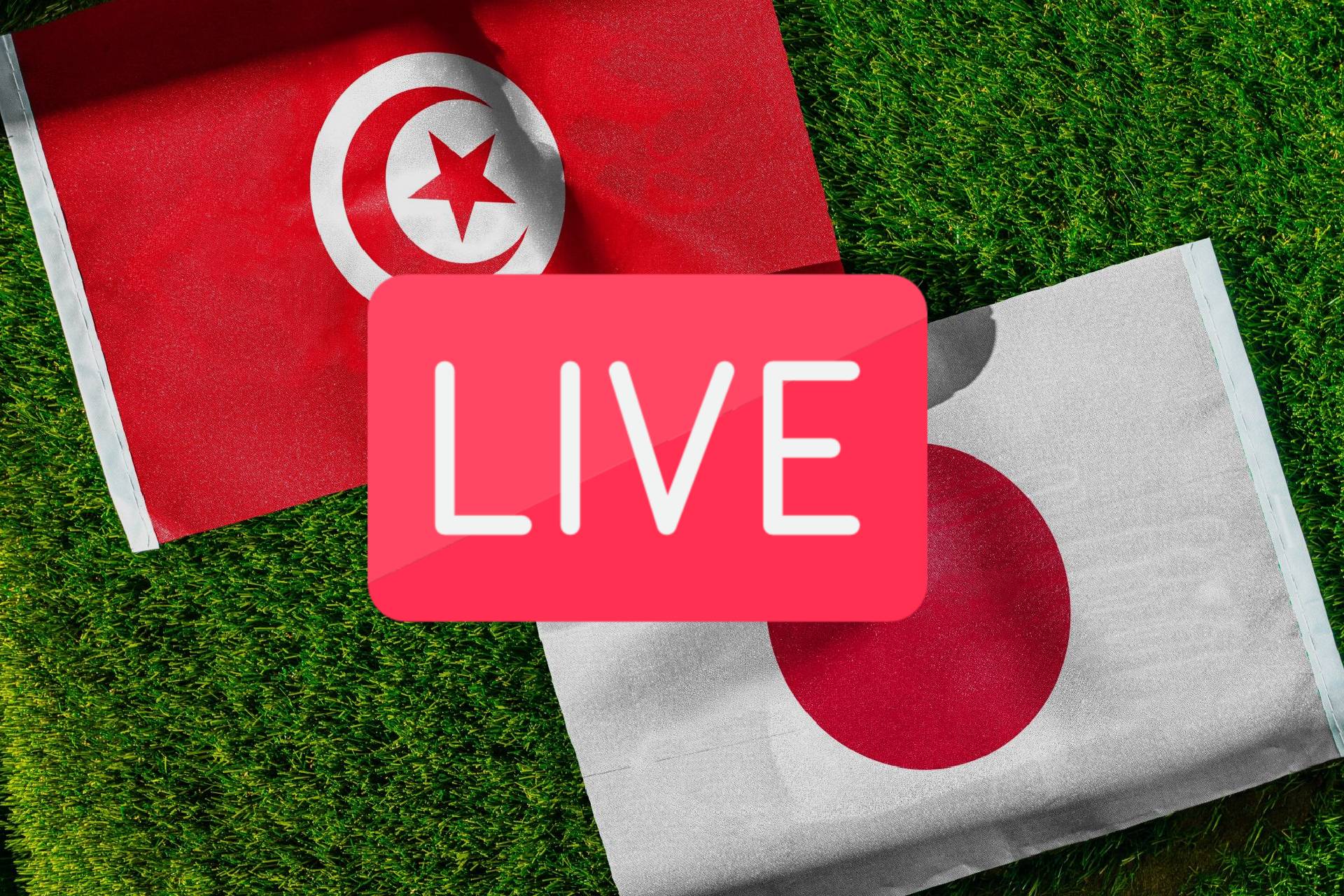 Tunisia Vs. Japan
