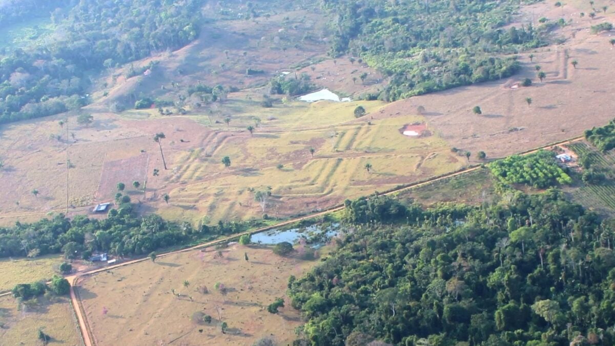 Scientists Find Evidence of Lost Amazonian Civilization That…