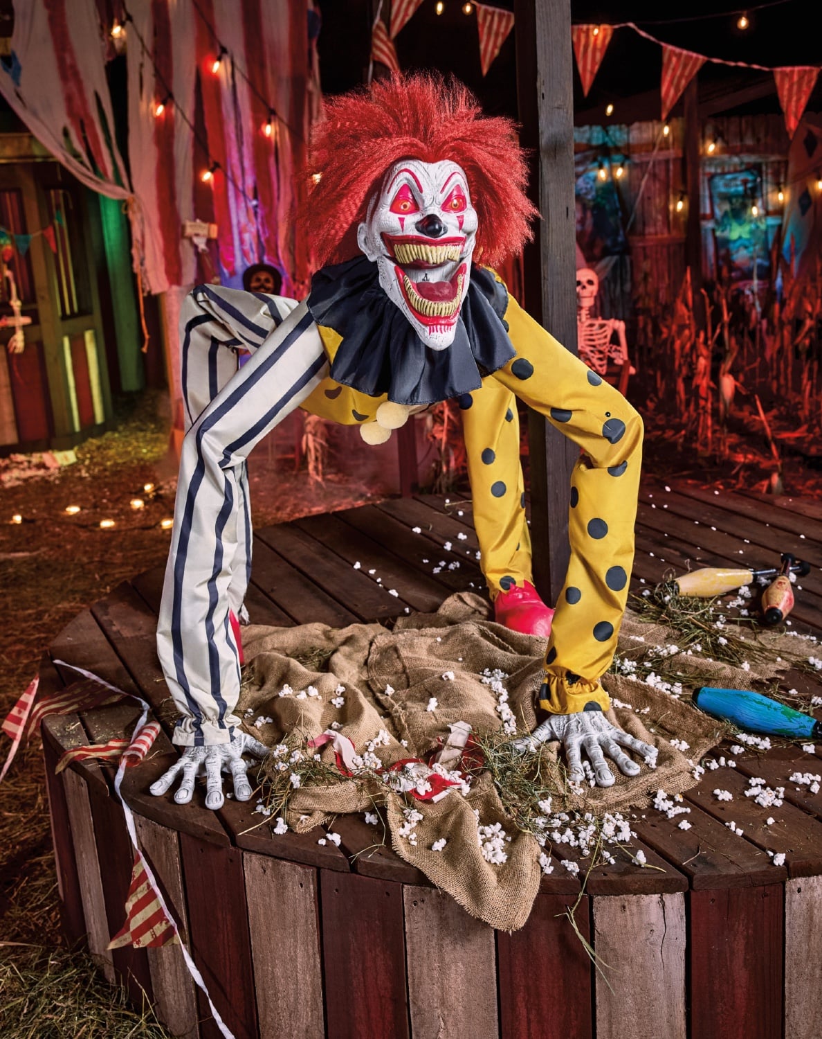 Carnival Creeper Small