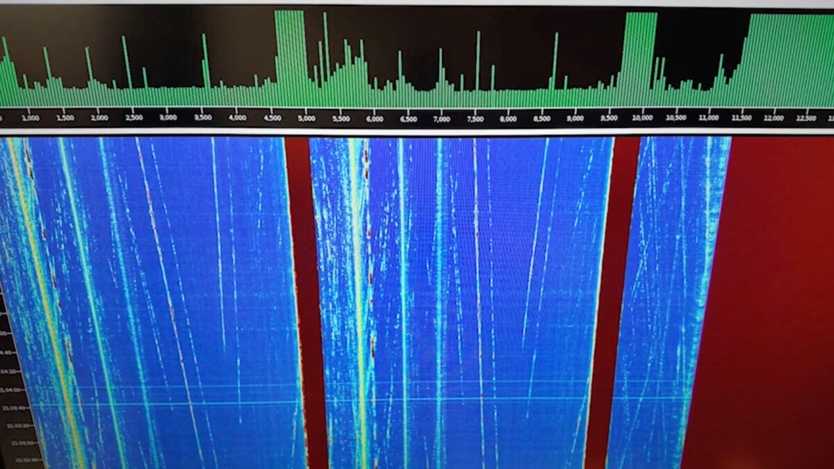 The Government’s Earthquake Warning System Has a 30% Accuracy Rate. Scientists Found Something Better