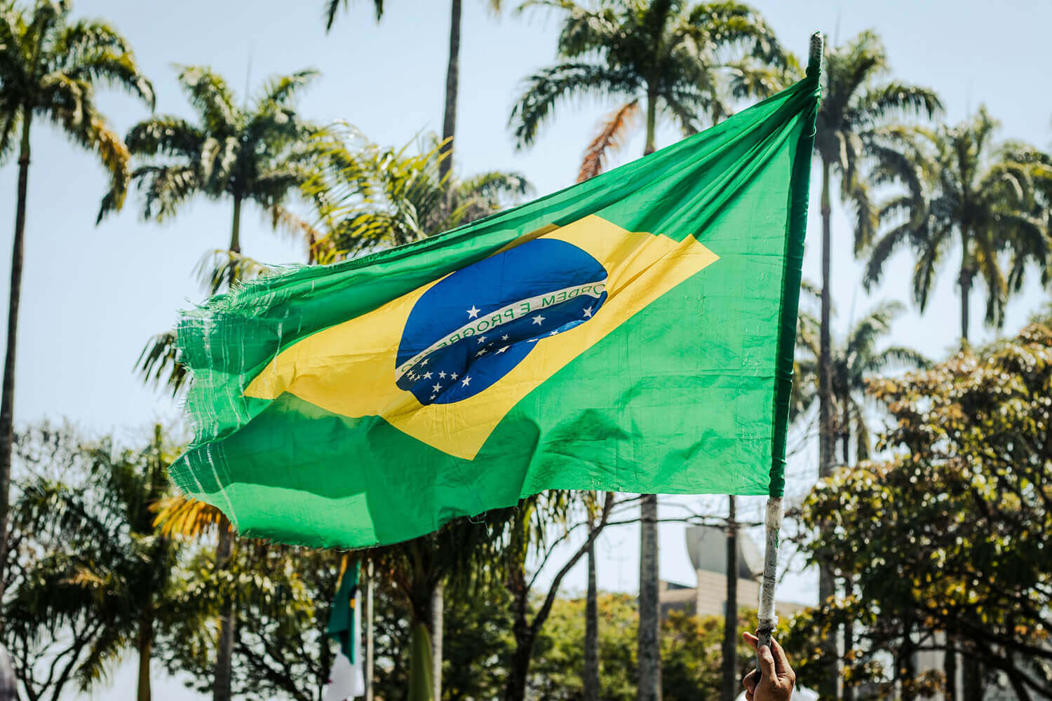 Free Brazil Vpn