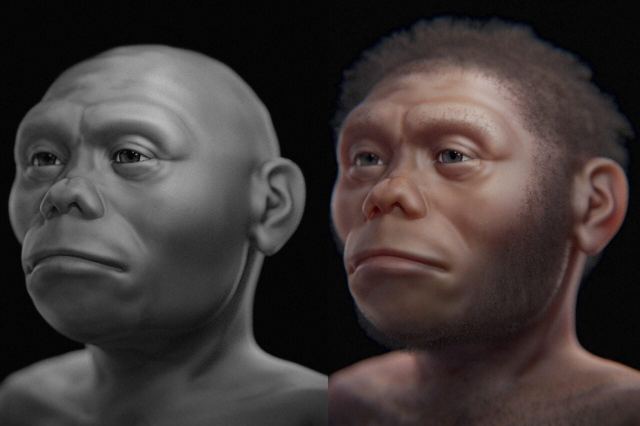 Here’s How This ‘Hobbit’-Like Human Ancestor Survived on an Island with Komodo Dragons