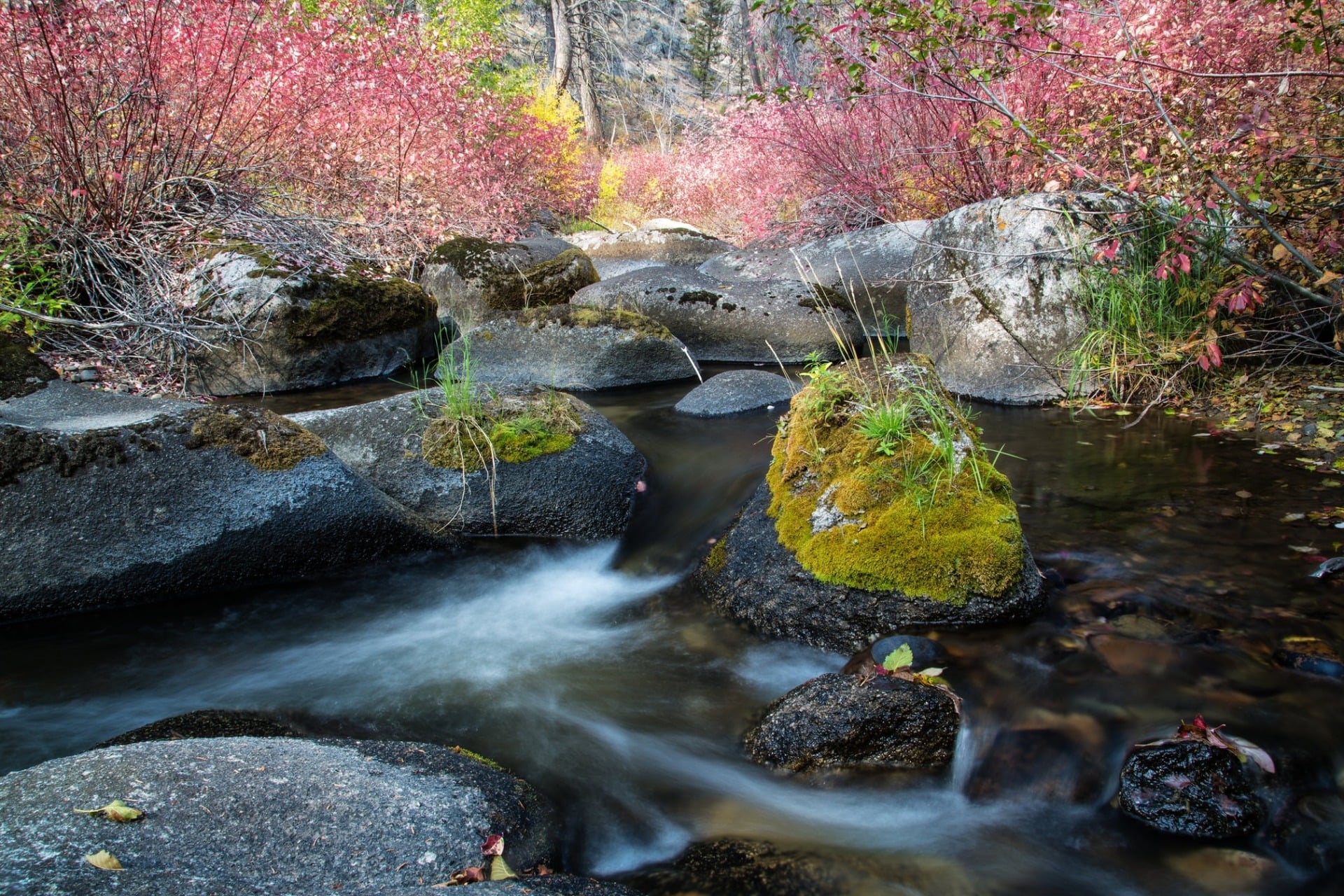 The Humbug Spires Wilderness Study Area is a 11,175-acre roadless area in Montana, one of the states whose water supply is most at risk from rescinding the 2001 “roadless rule.”  