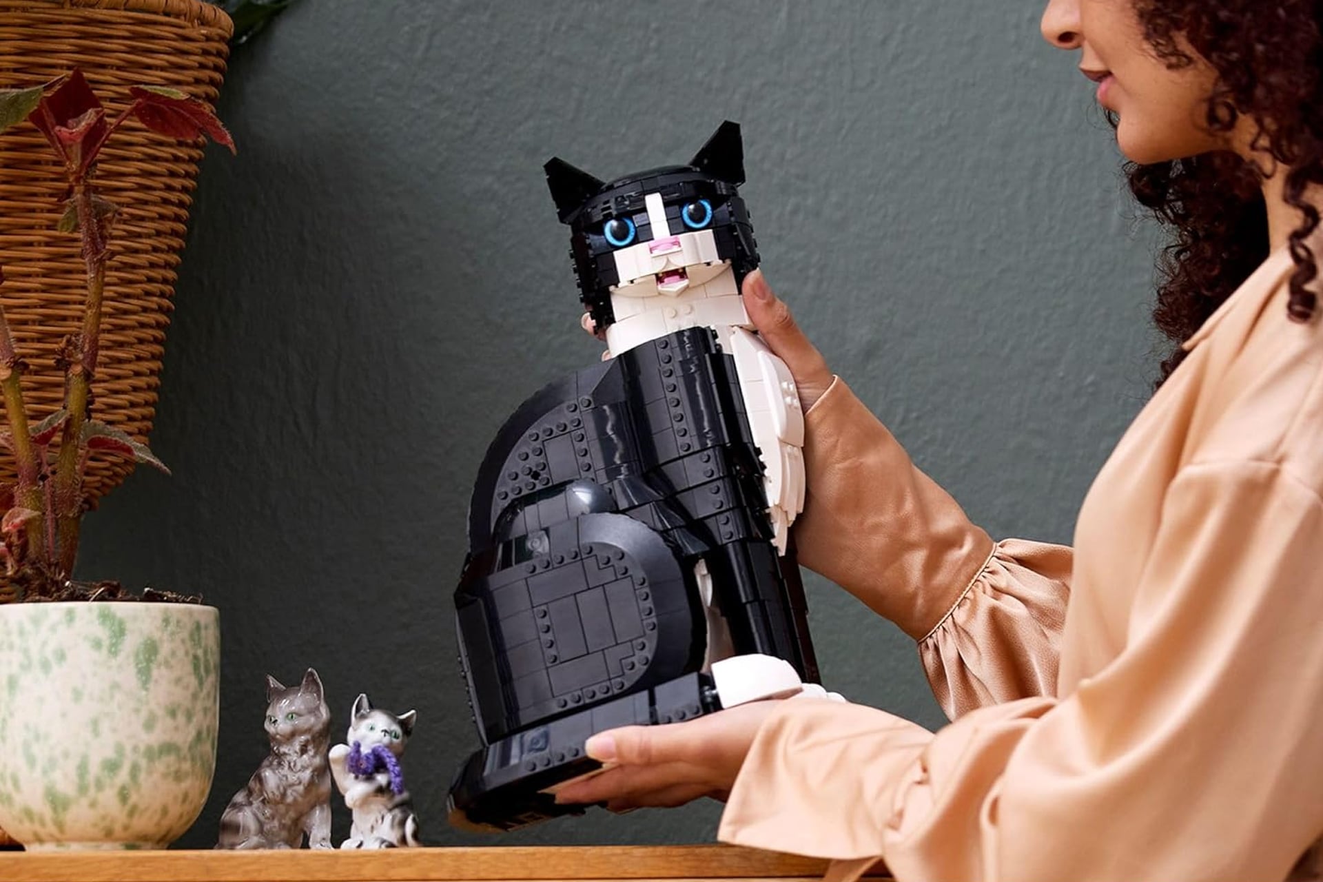 Legoideastuxedocat