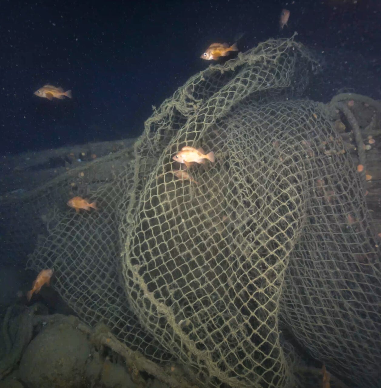 Nets From Quest Shackleton Shipwreck