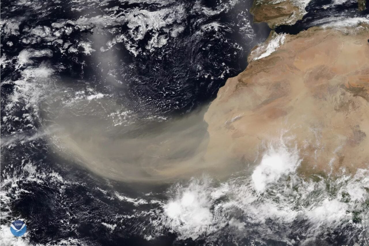 Sal Outbreak