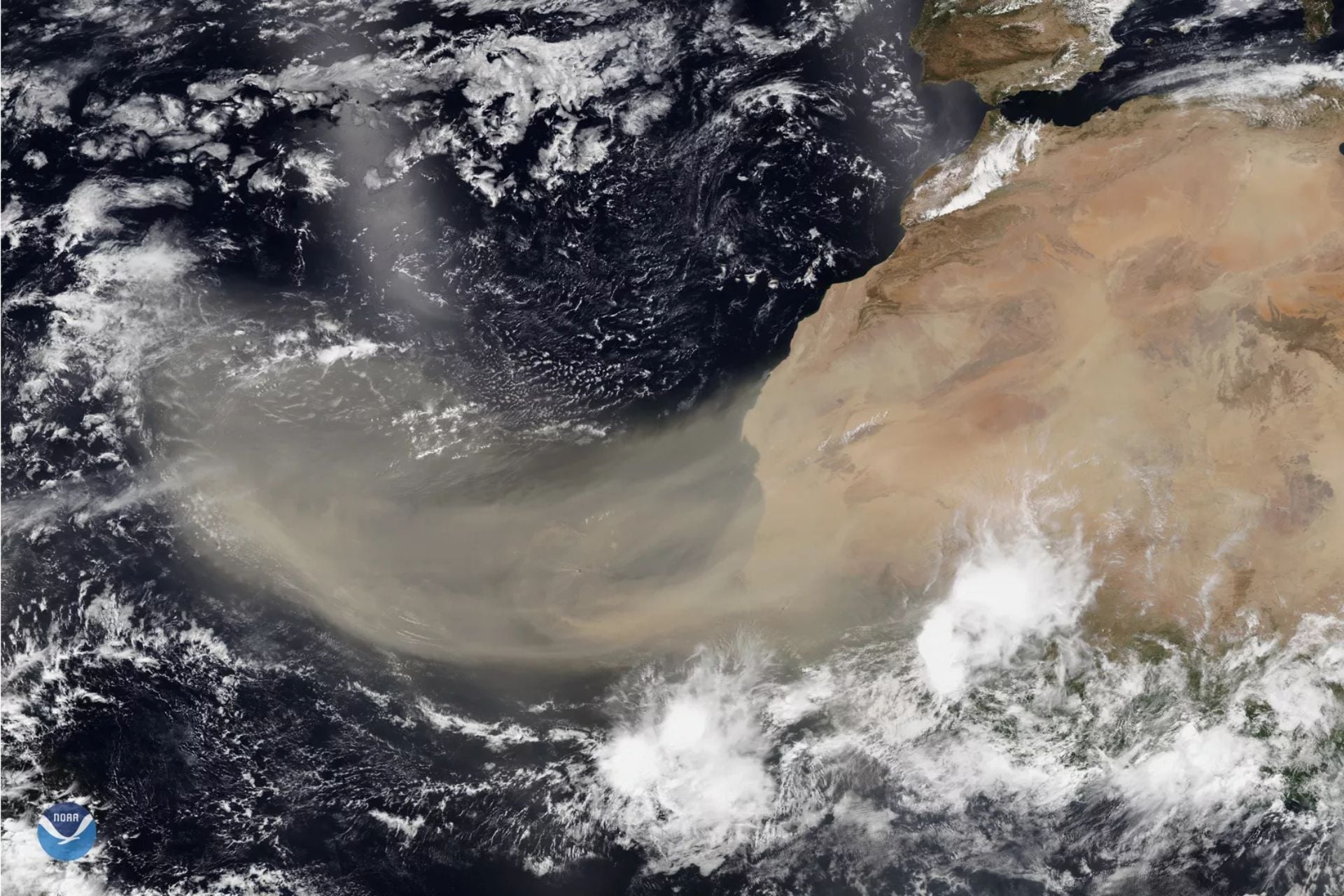 Dust blowing off the Sahara Desert, captured by the NOAA-20 satellite in June 2020.