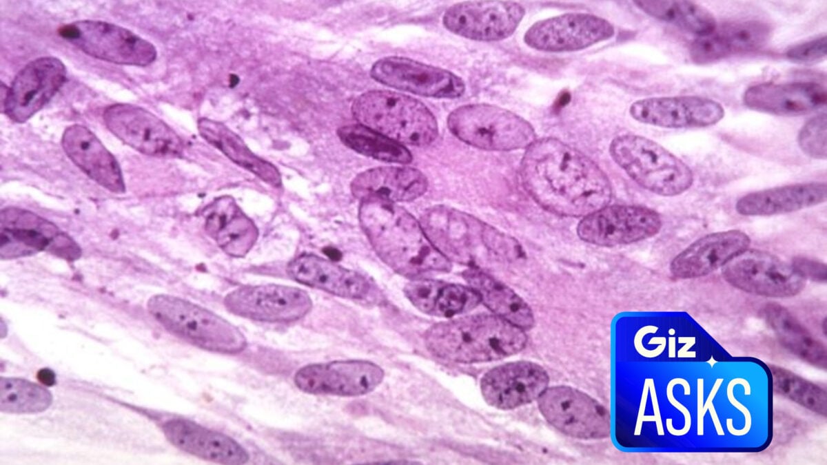 Can Vaccines Really Help Prevent Dementia? Can Vaccines Really Help Prevent Dementia?