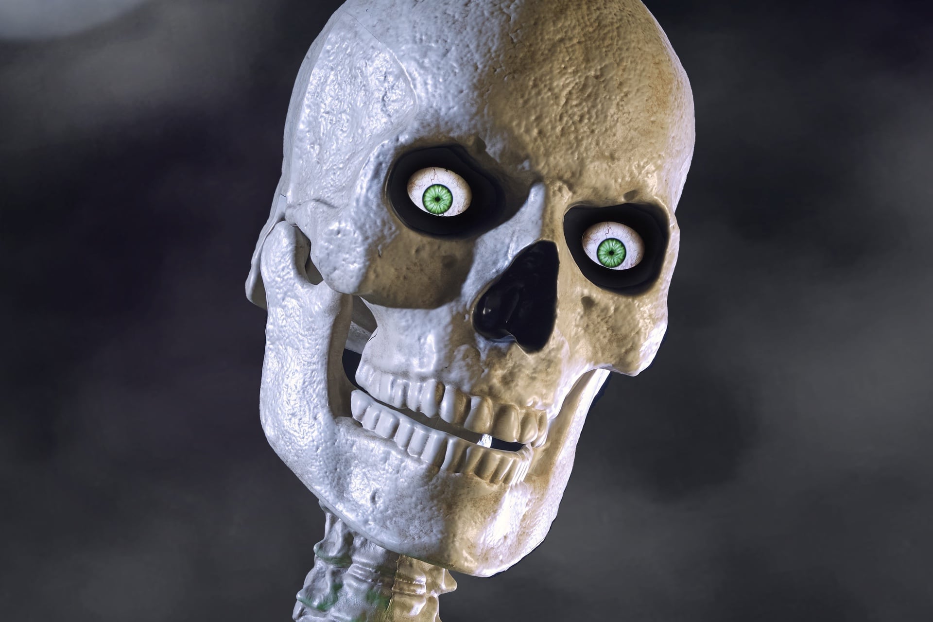 Skellycloseup3