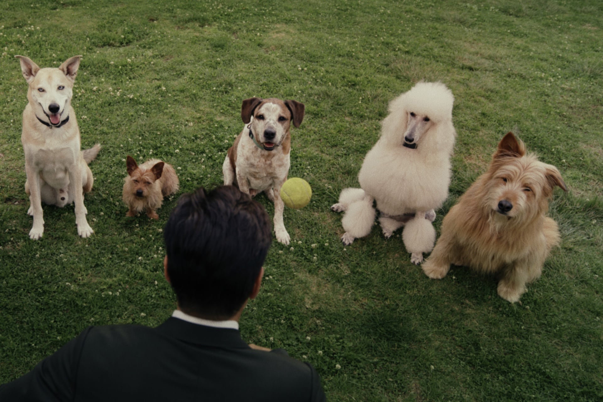 Yep, that is a levitating tennis ball.