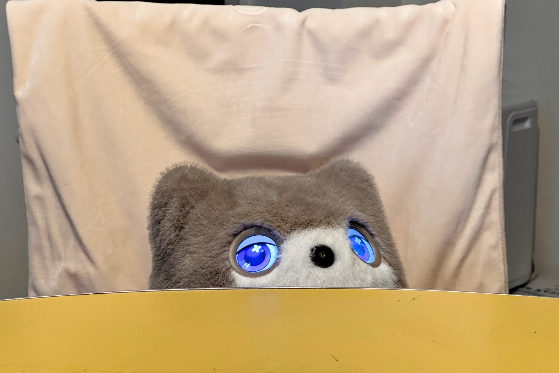 The top of the Kata Friends' head peeking over a tabletop.