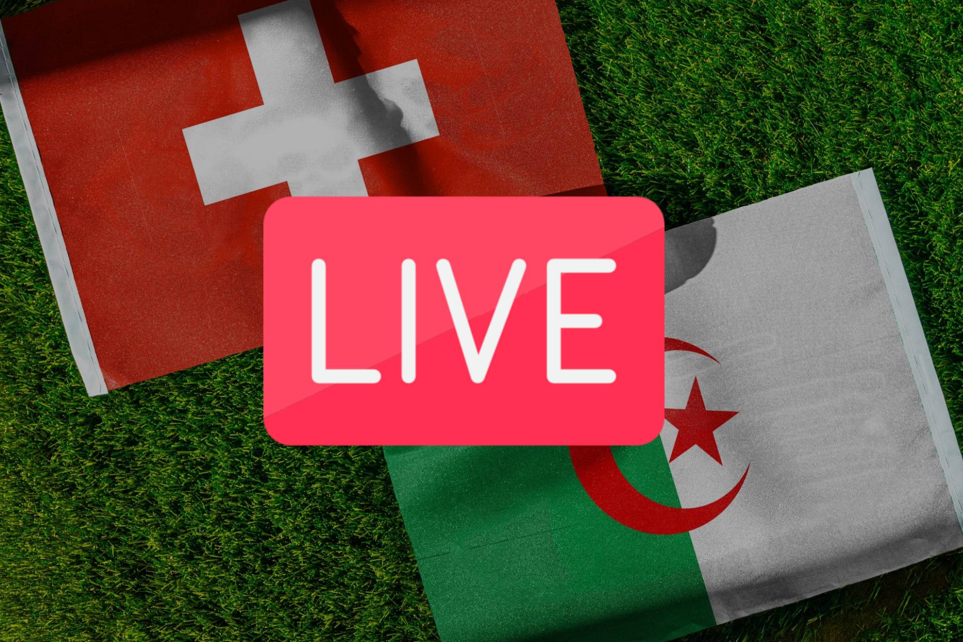 Switzerland Algeria