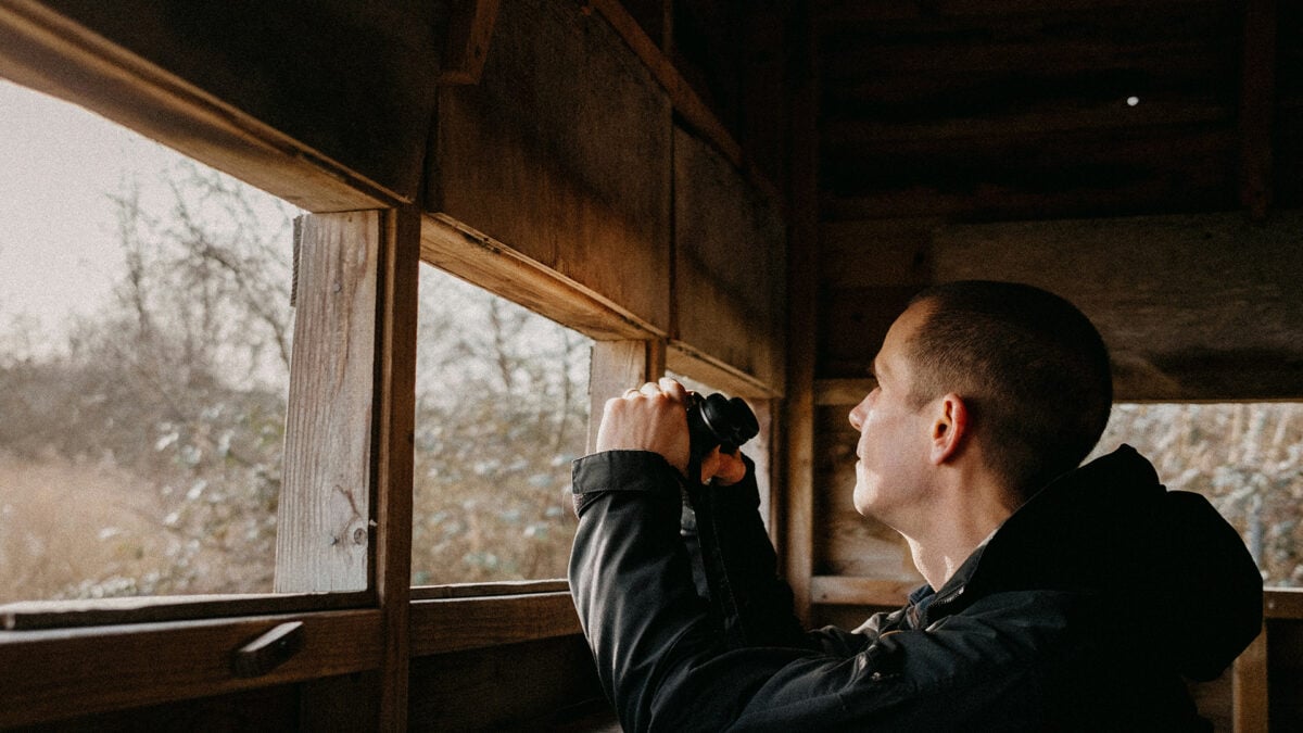 Can AI Ruin Something as Innocent as Birdwatching?
