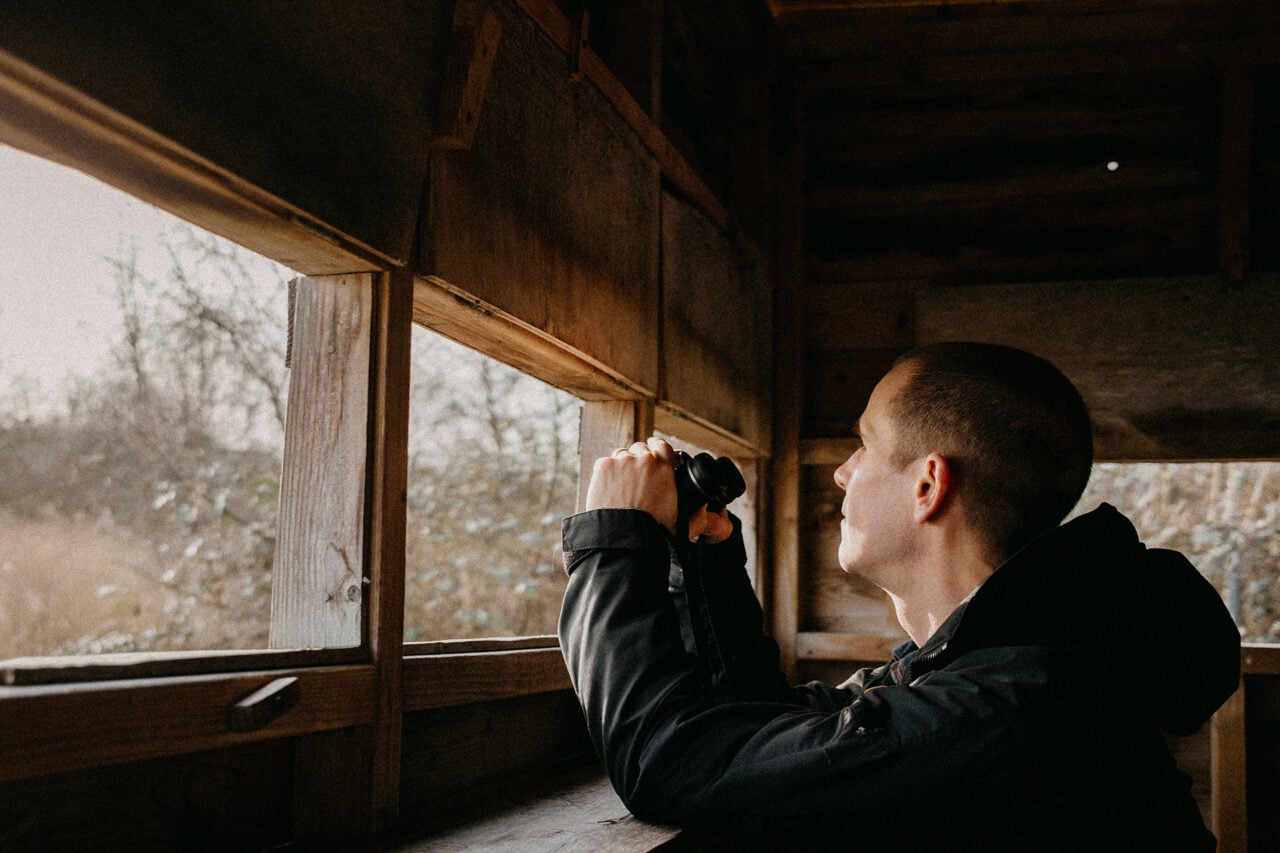 Birdwatching