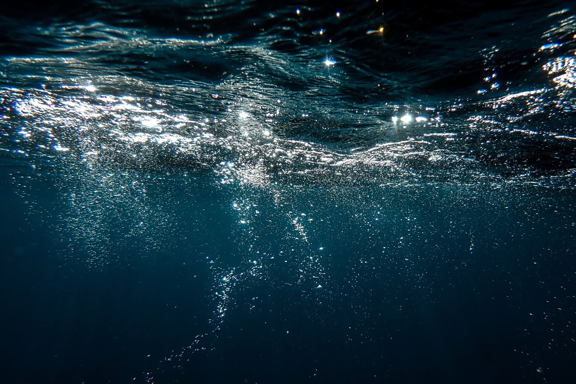 Bubbles beneath the sea surface.