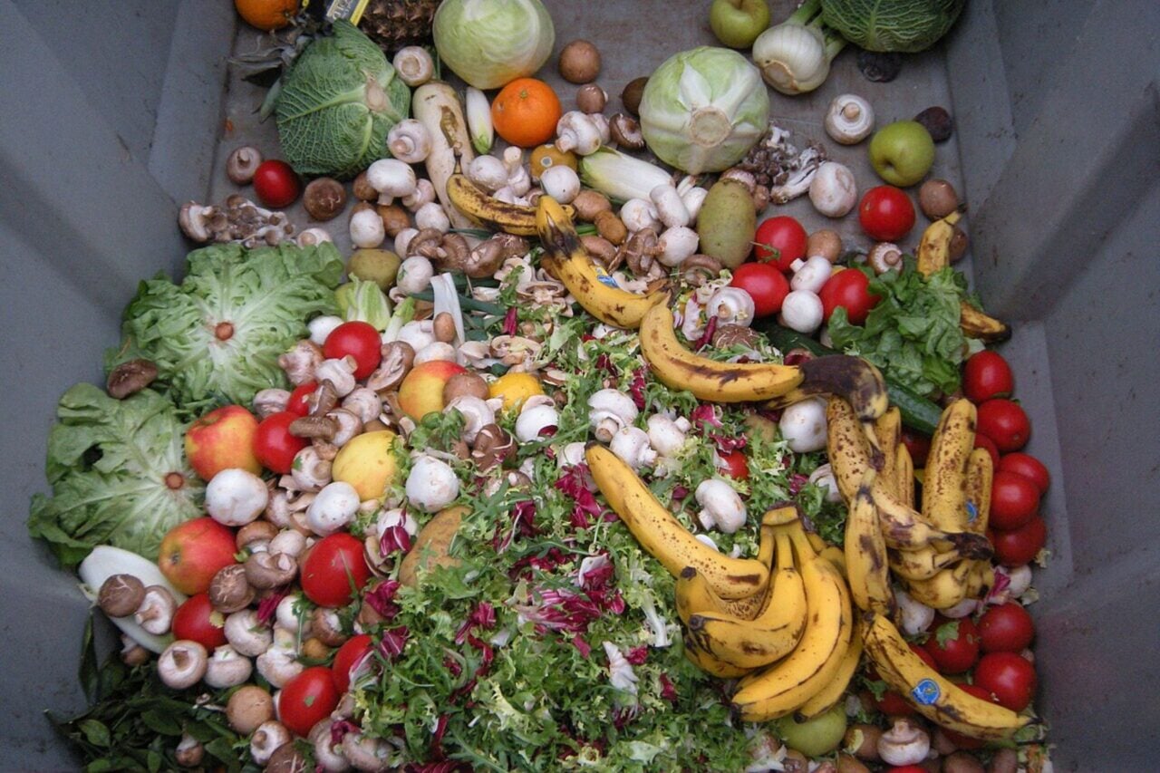 The Fix for Food Waste Comes With a Major Catch