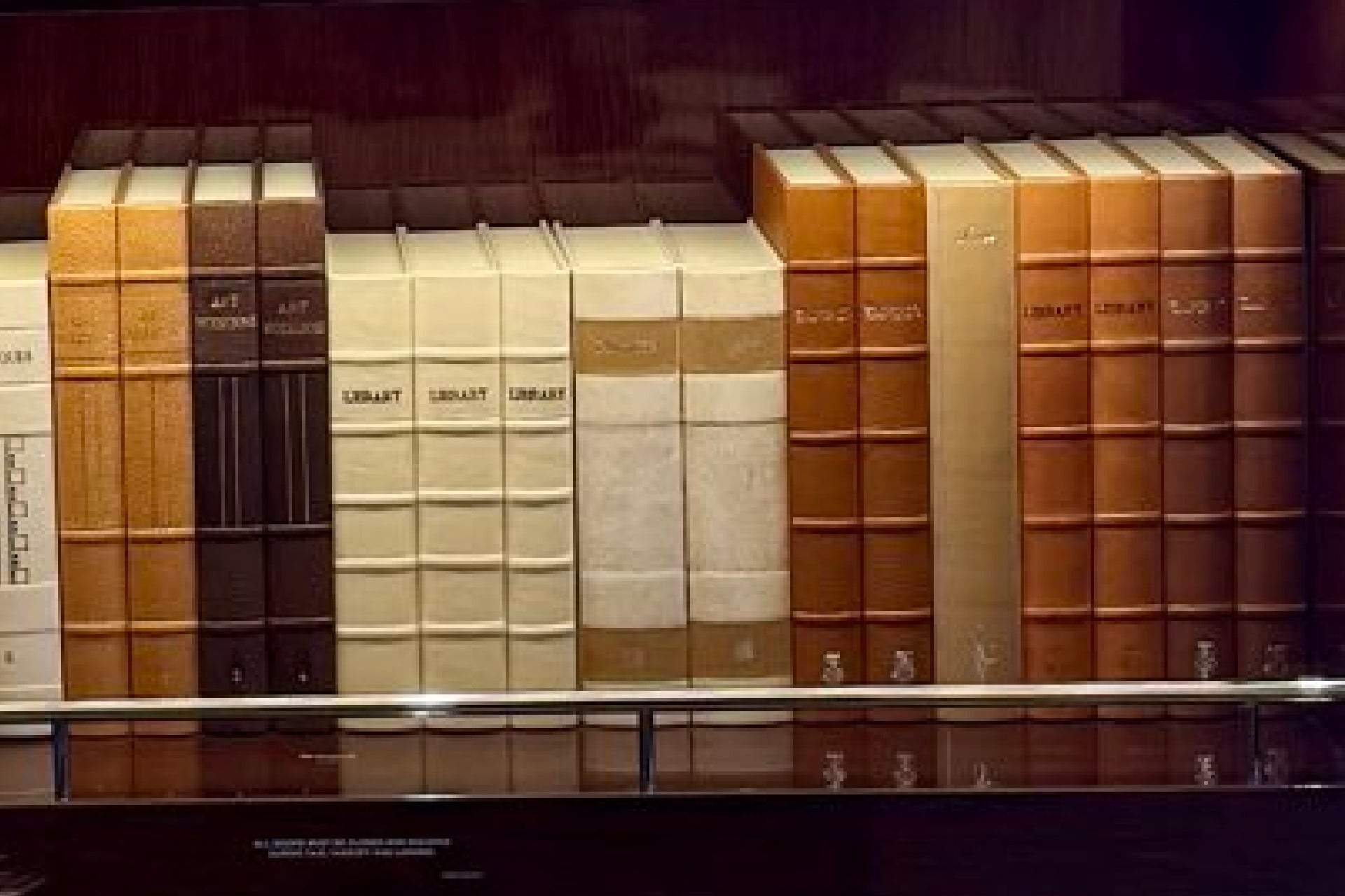 Close-up on a shelf on the new Air Force One, which features fake books with titles like "Library" and "Arts" and "Architecture."