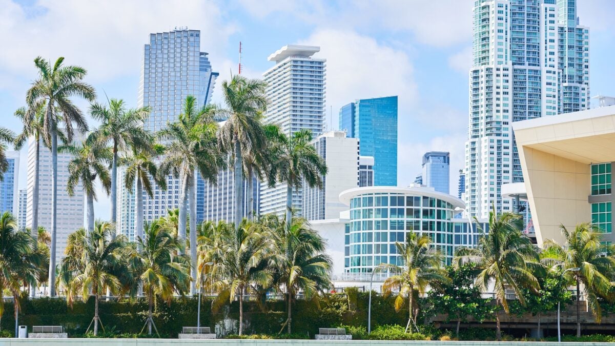 Google Is Really Getting Into Miami Lately Google Is Really Getting Into Miami Lately