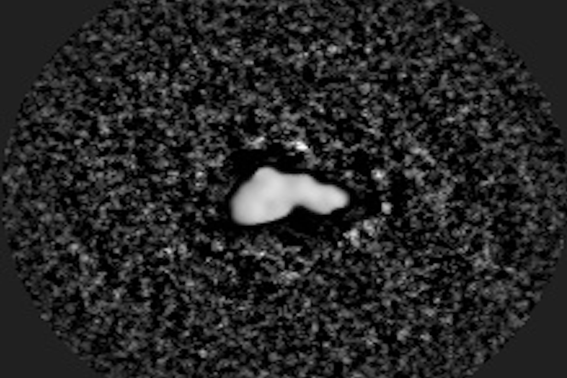 Asteroid (44) Nysa as seen with the SHARK-VIS instrument of the Large Binocular Telescope on 15 February, 2026.