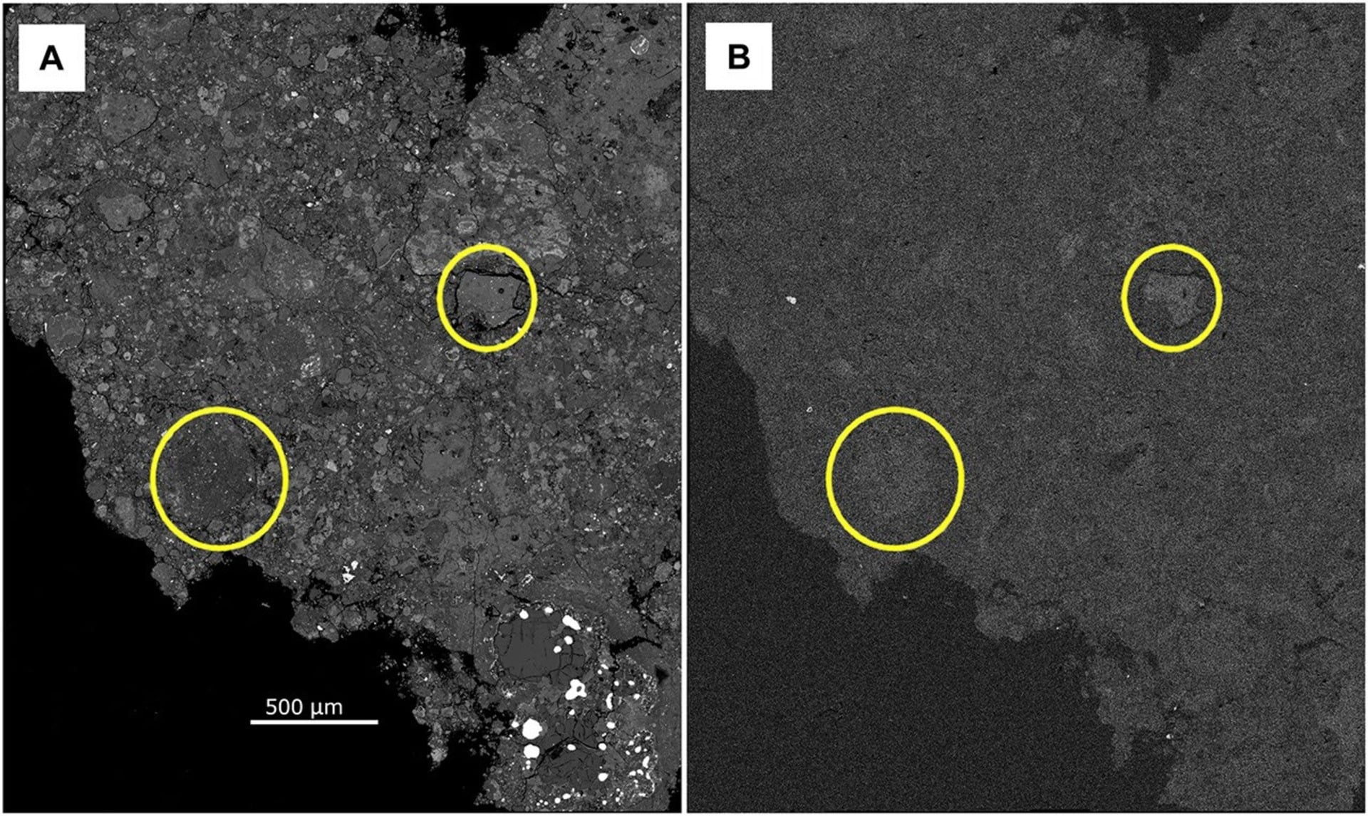 The rare meteorite preserved delicate minerals and organic compounds.