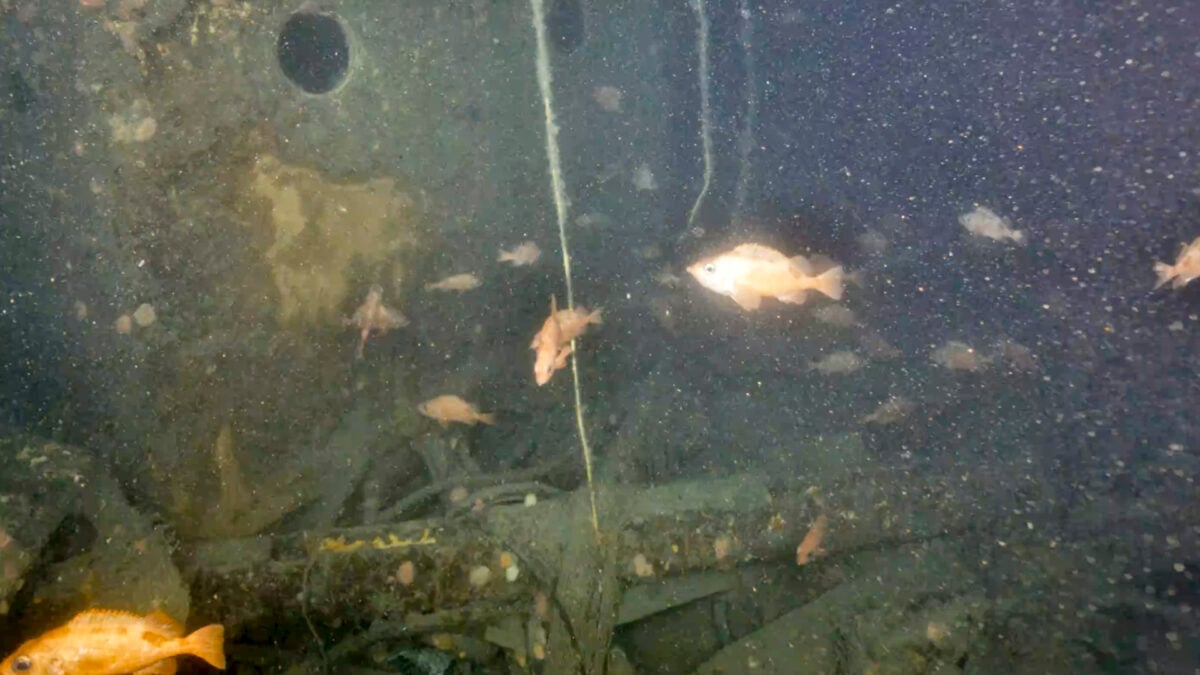 Scientists Reveal the First Images of Ernest Shackleton’s…