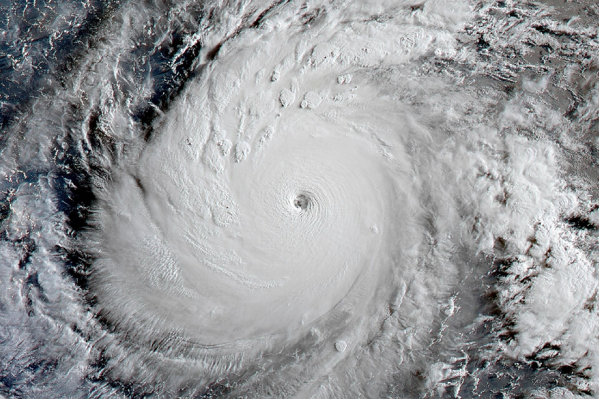 Super Typhoon Dolphin at Category 5 intensity at sunrise on July 29, 2026. This was taken using the AHI imaging instrument onboard the Himawari-9 geostationary satellite.