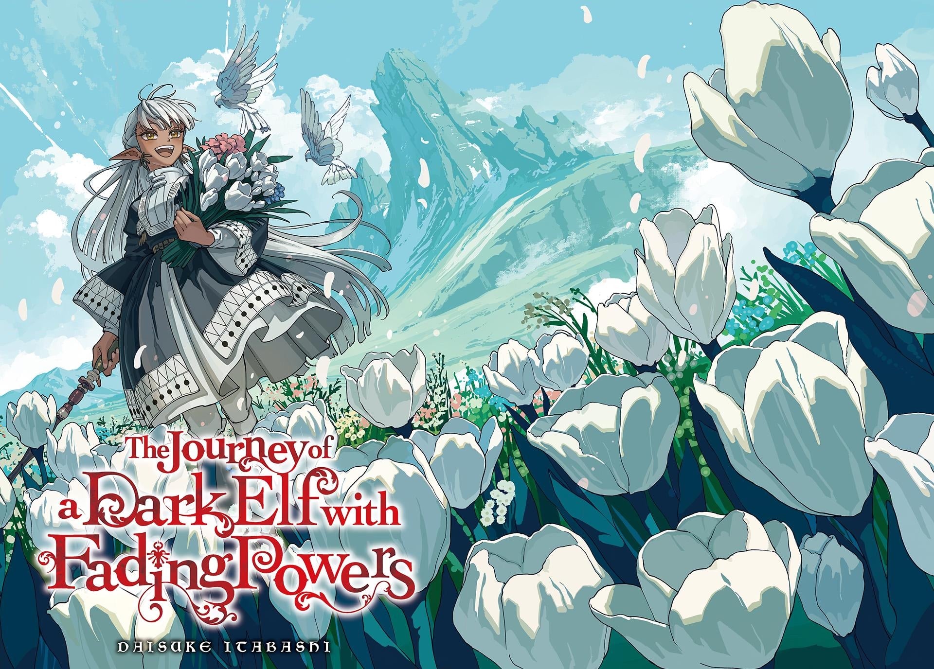 The Journey Of A Dark Elf With Fading Powers color spread.