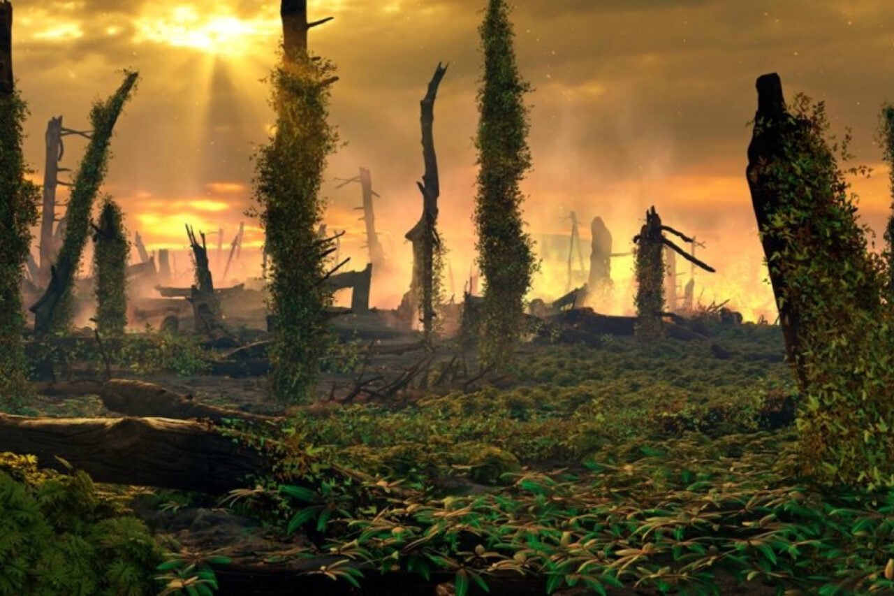 Volcanoes Started Earth’s ‘Great Dying.’ This Unexpected Plant Made It Worse