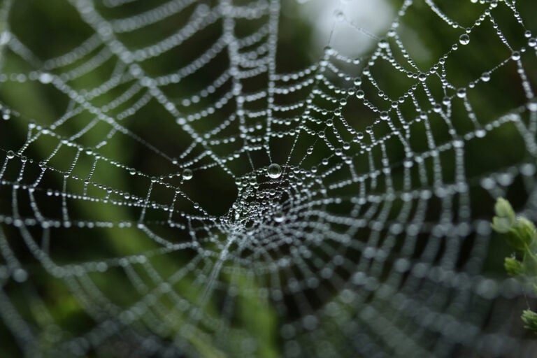 Web Stuff Internet