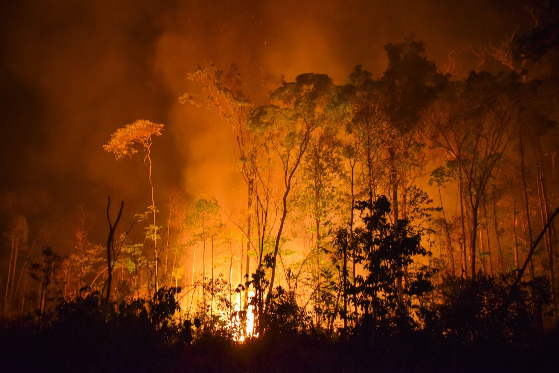 Wildfire burns in the Amazon basin in August, 2020.