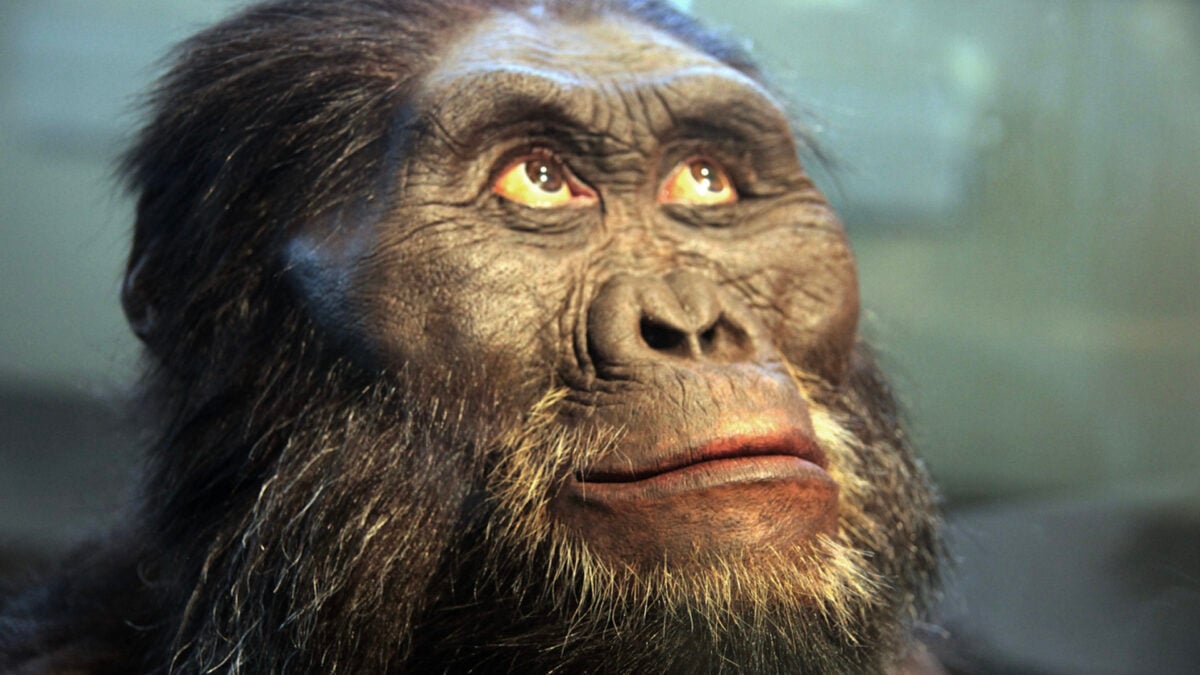 Bigfoot-Like Ancient Apes Might Have Been Closer to Humans Than We Realize