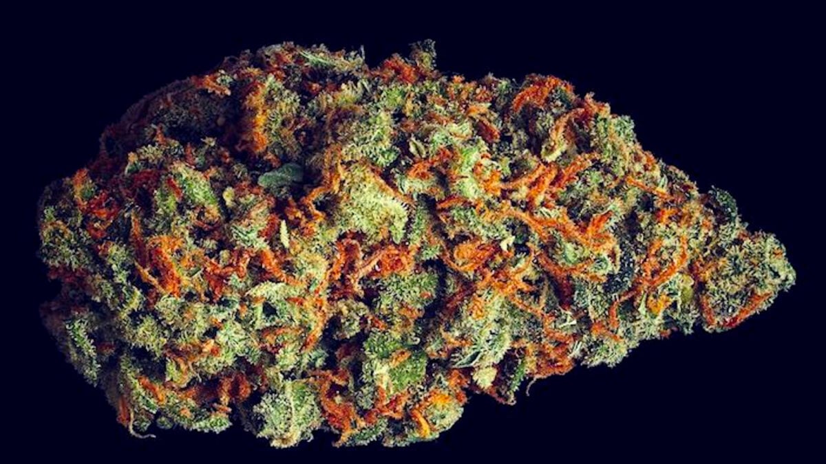 Cannabis ‘Scromiting’ Finally Has Its Own ER Code—and the Numbers Are Higher Than Anyone Realized Cannabis ‘Scromiting’ Finally Has Its Own ER Code—and the Numbers Are Higher Than Anyone Realized