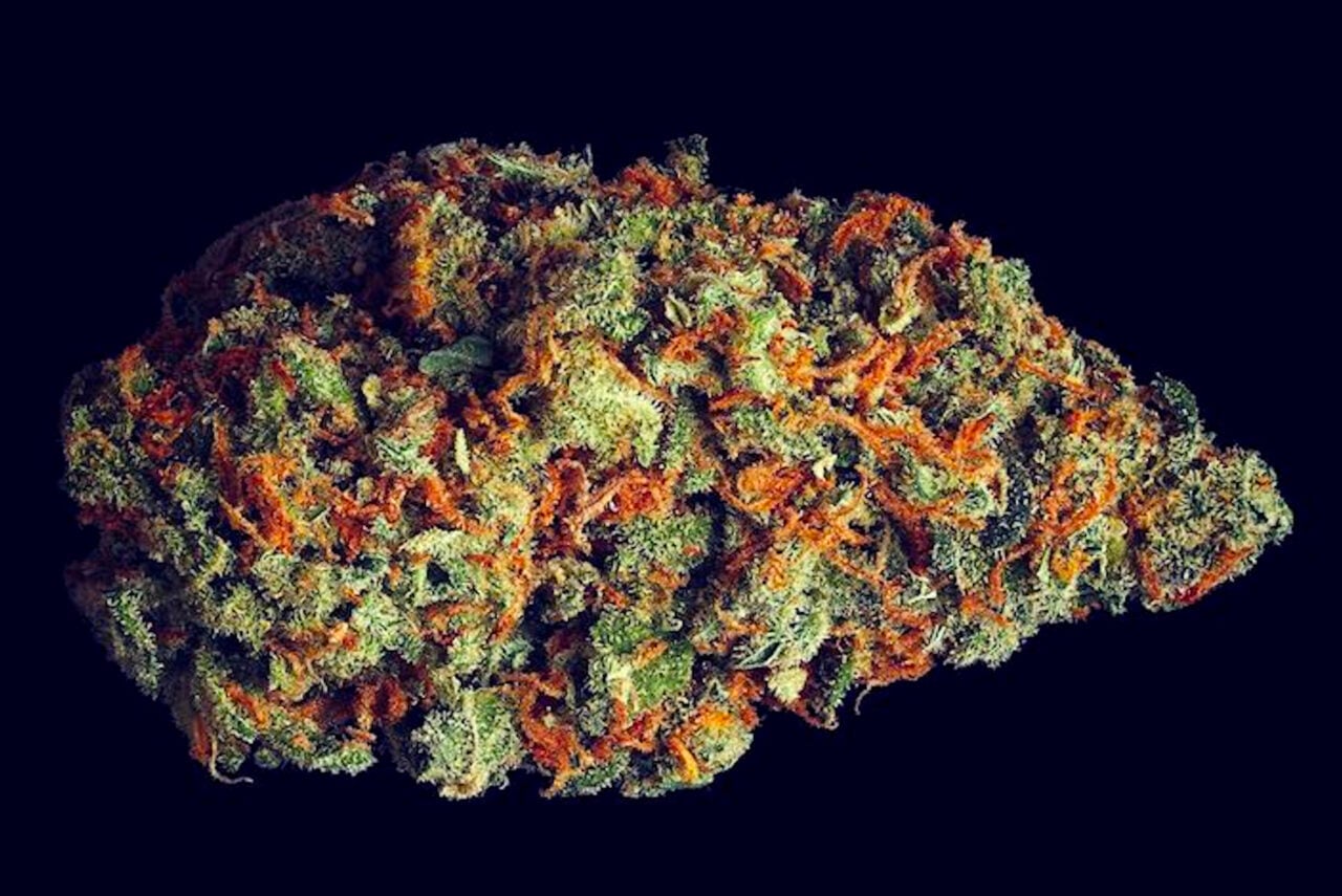 Cannabis ‘Scromiting’ Finally Has Its Own ER Code—and the Numbers Are Higher Than Anyone Realized