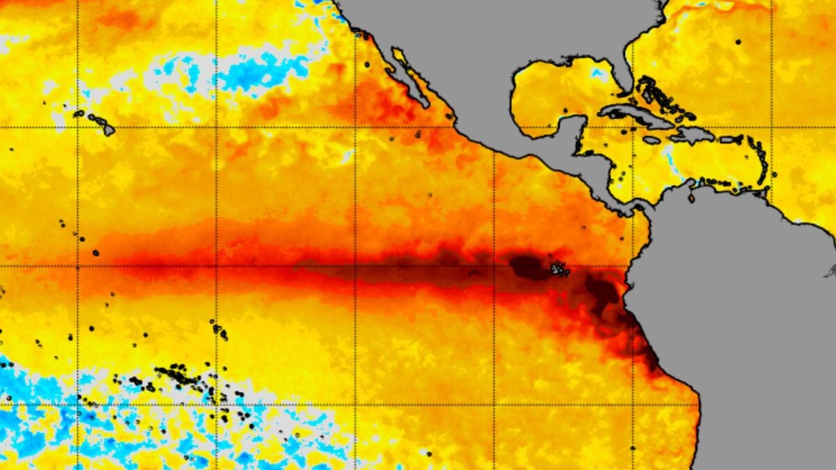 Okay, These El Niño Forecasts Are Getting Ridiculous Okay, These El Niño Forecasts Are Getting Ridiculous