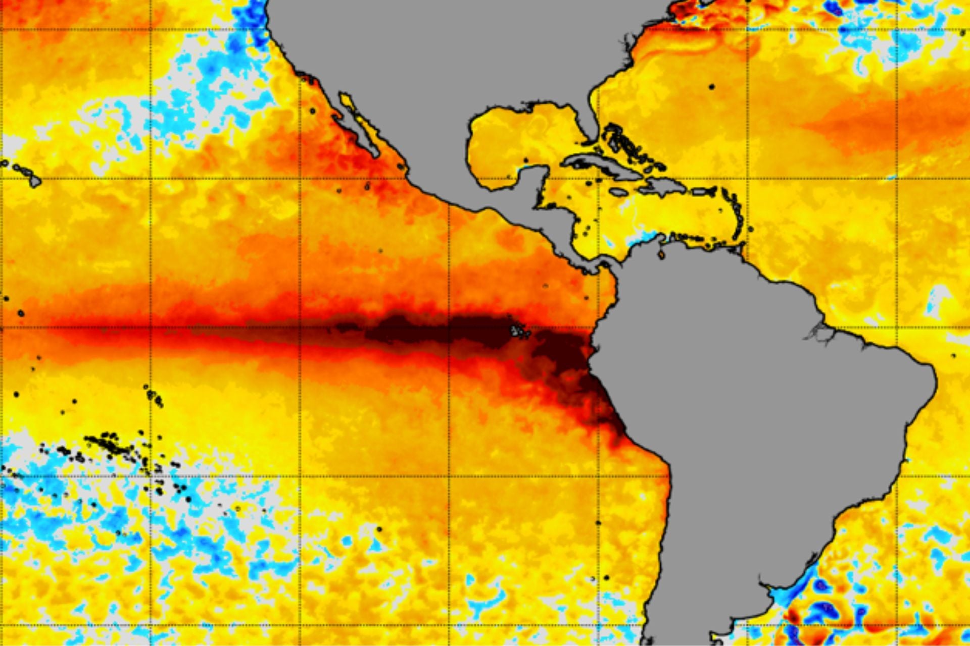 A map of sea surface temperature anomalies in the tropical Pacific on August 12, 2026. The dark red band extending out from the northwest coast of South America represents a strong El Niño. 