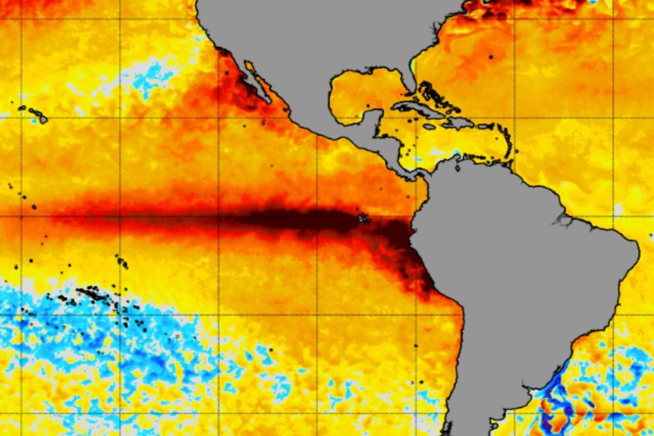 A map of sea surface temperatures in the tropical Pacific showing a strong El Niño