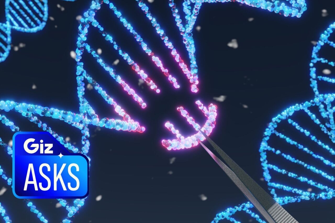 After 2 Deaths and Reports of Brain Tumors, How Dangerous Is Gene Therapy, Really?
