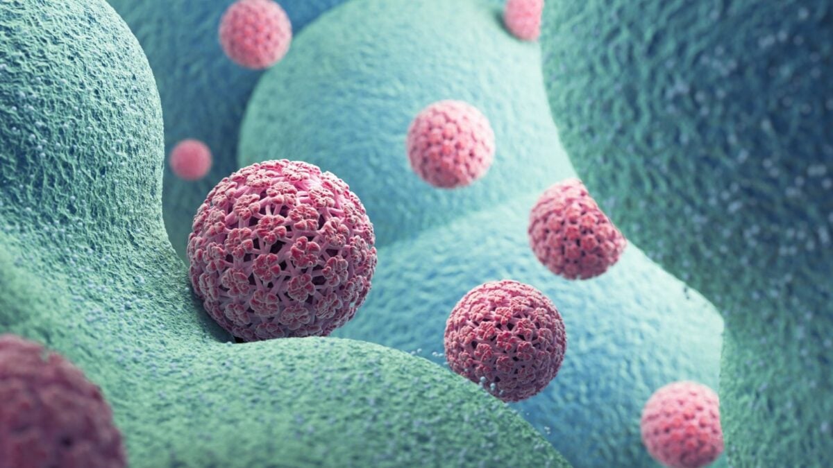 The HPV Vaccine Isn’t Just Preventing Cervical Cancer, New&hellip;