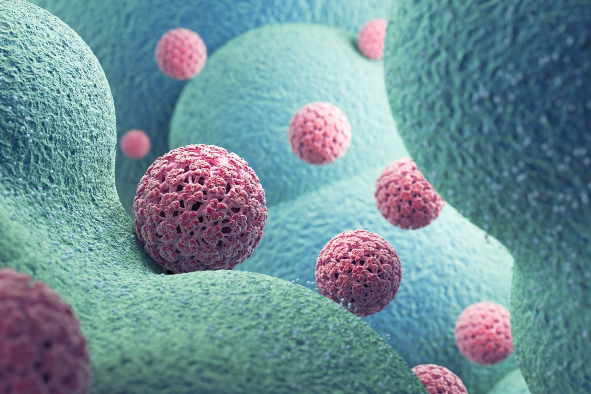 An Illustration of the human papillomavirus, which is responsible for a variety of cancers.