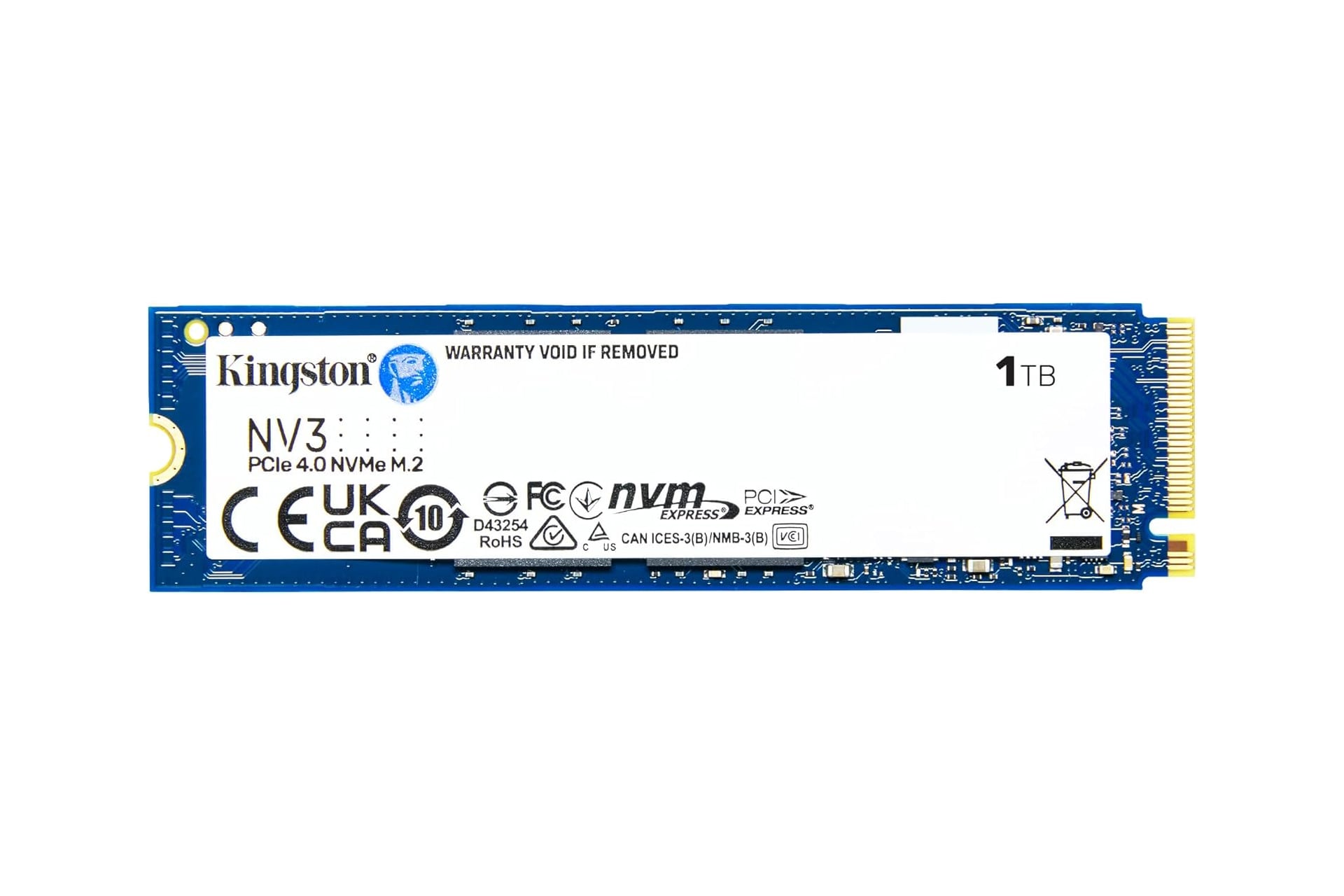 Kingstonnv3