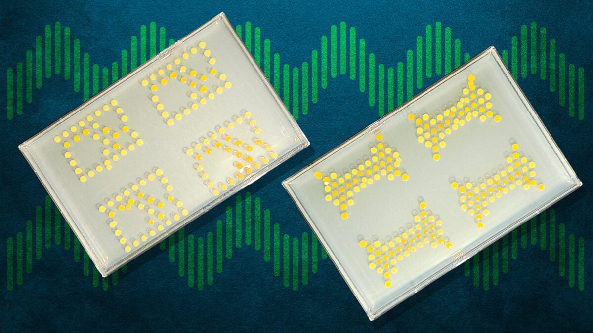 These Transistors Engineered With Bacteria Are Literally…