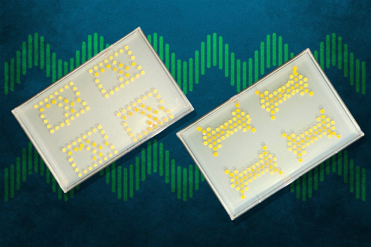These Transistors Engineered With Bacteria Are Literally Alive, if a Little Slow