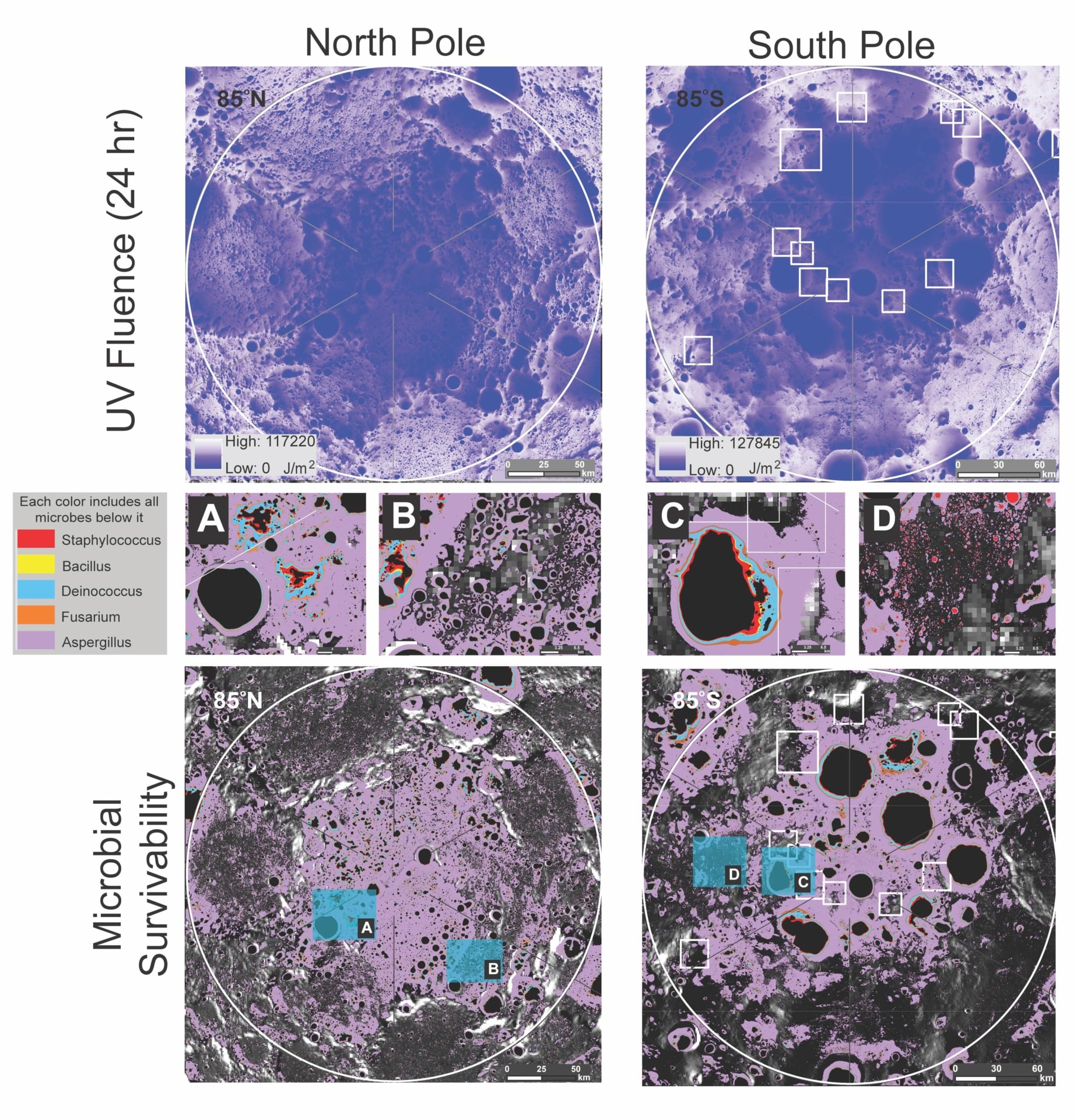 Moon Poles Microbes Radiation Cold Traps